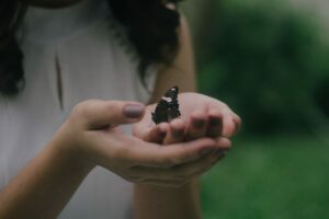 mãos femininas segurando uma borboleta