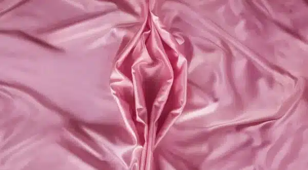 lenceis amassados com formato da vulva feminina