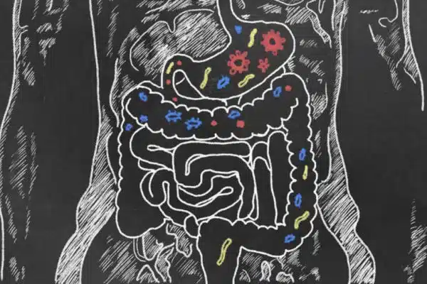 ilustração do intestino humano povoado por microorganismos