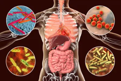 ilustração de microorganismos distribuídos pelo corpo humano