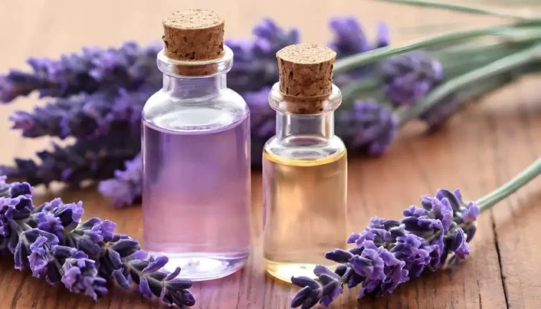 imagem de flores de lavanda e frascos do seu óleo essencial contra fungos Candida